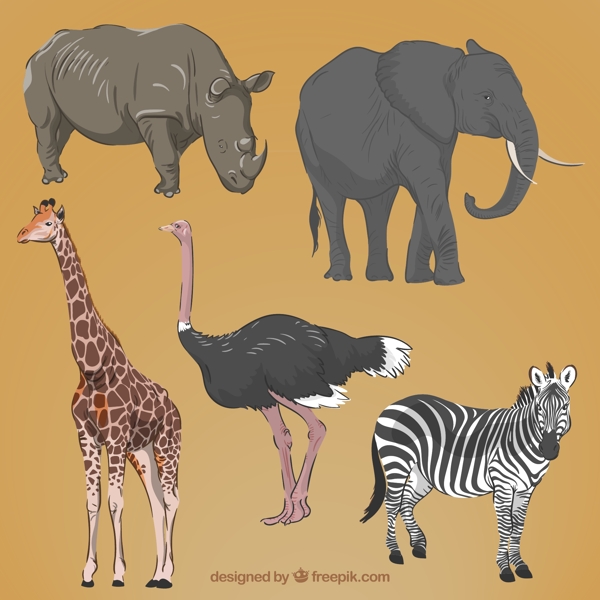 现实的手绘非洲动物