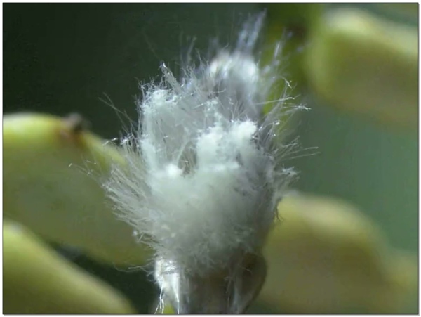 水花动态视频素材