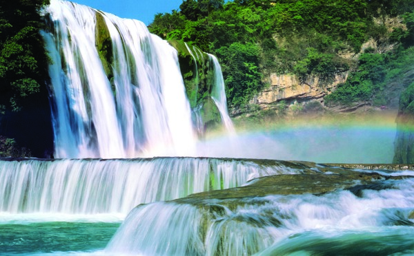 树植物水风景