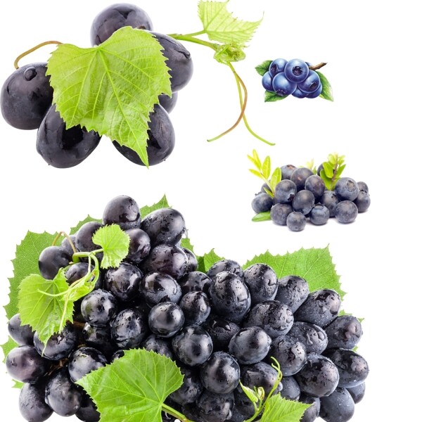 蓝莓葡萄图片