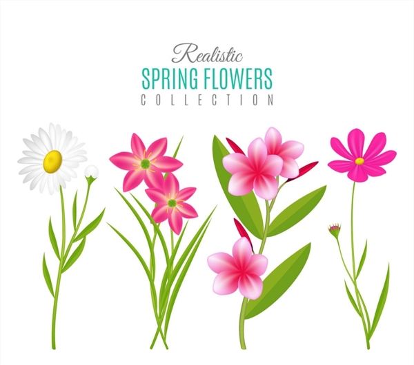 春季花卉矢量图片