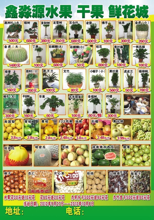 水果干果鲜花城单页图片