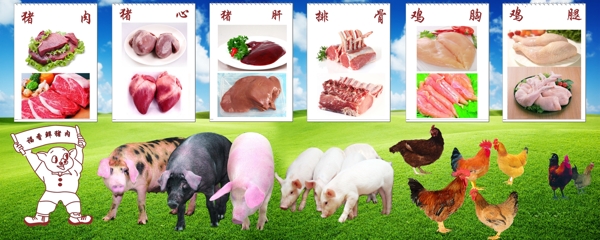 肉类海报