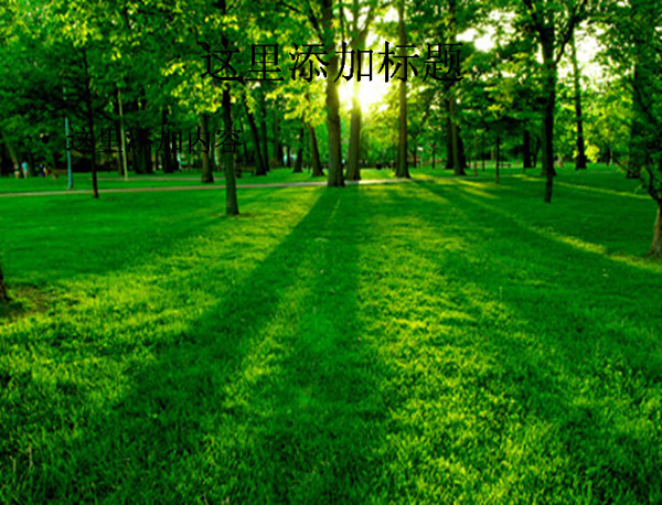 树木与草地黄昏PPT模板范文素材风景PPT模板范文