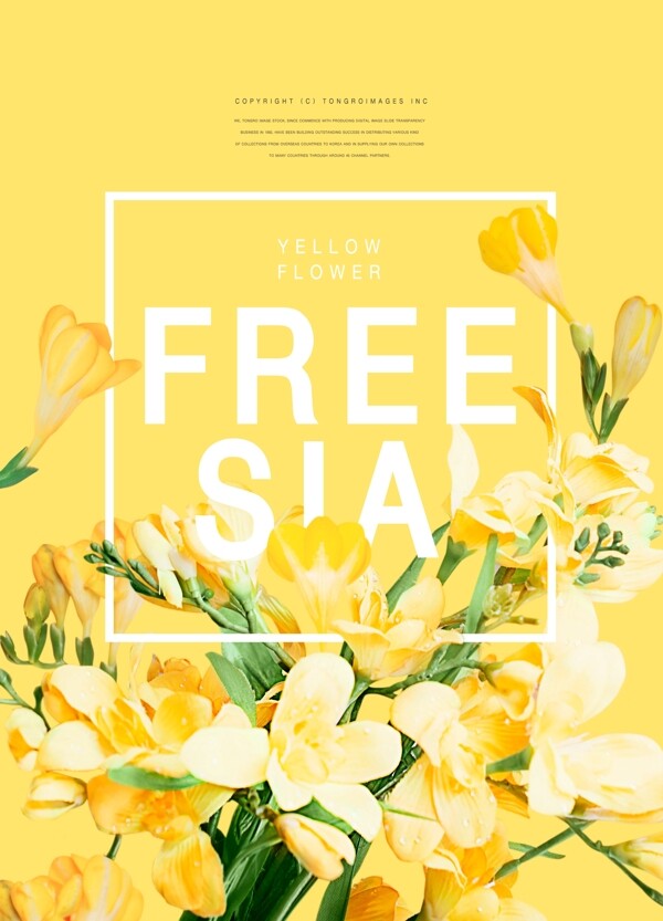 韩系黄色清新促销鲜花海报设计