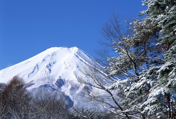 富士山冬景图片