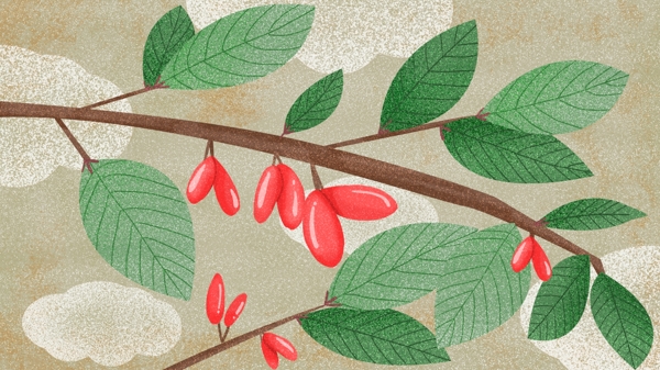 茱萸中国风植物背景设计