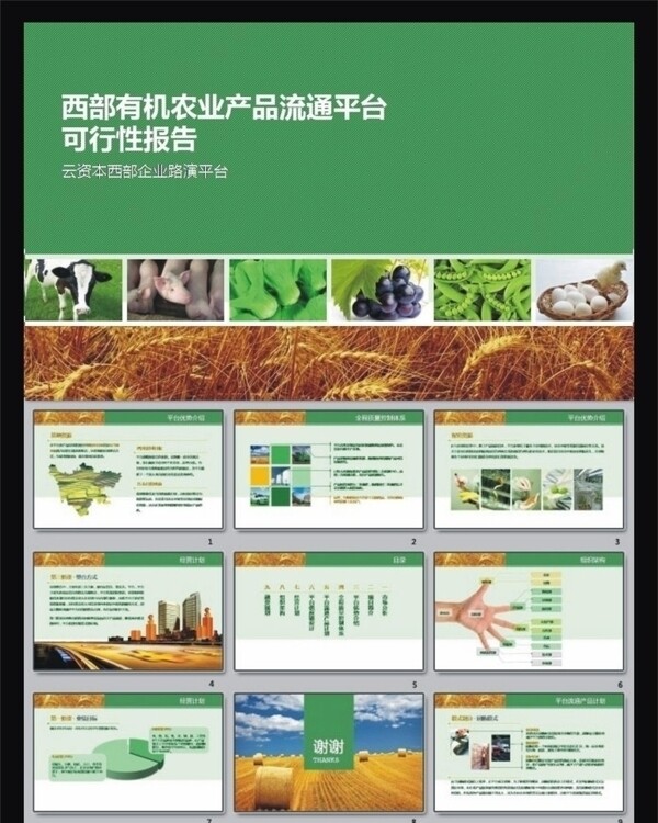 有机农业产品报告ppt公司报表