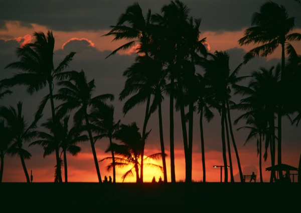 夕阳晚霞海岛风情旅游观光风情海边椰树海浪异国风情