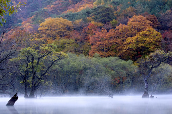 自然风景风景自然田园山水