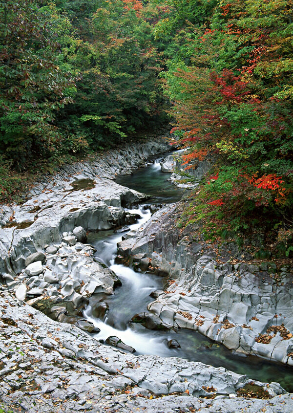 高山流水图片