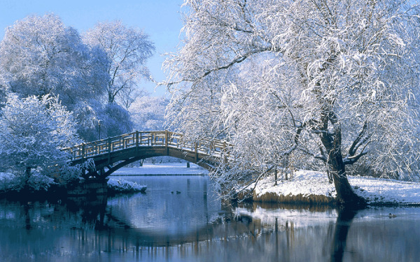 白雪皑皑的小桥风景图