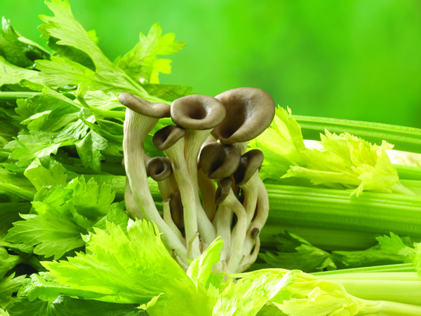 一簇和芹菜一起的蘑菇图片