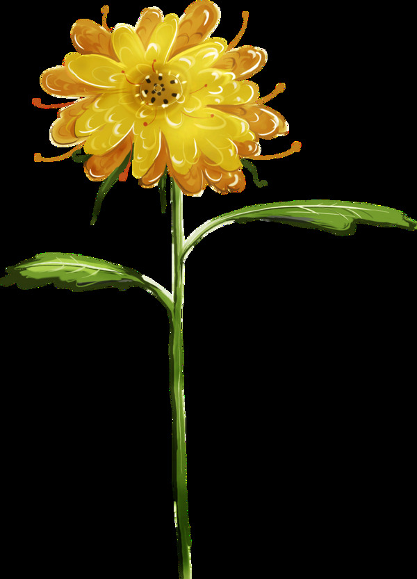 彩绘黄色手绘菊花装饰元素