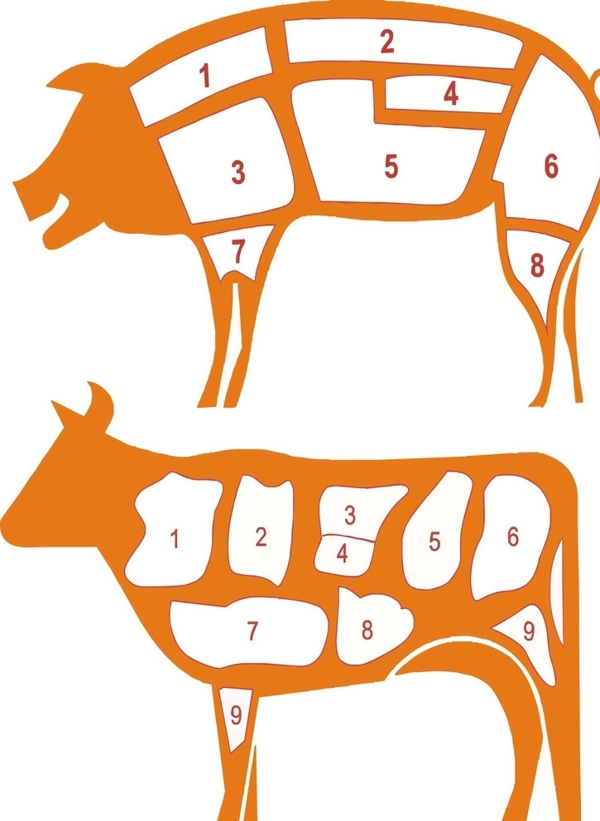 猪牛分割图图片
