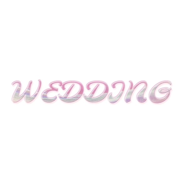 抽象的婚礼字体