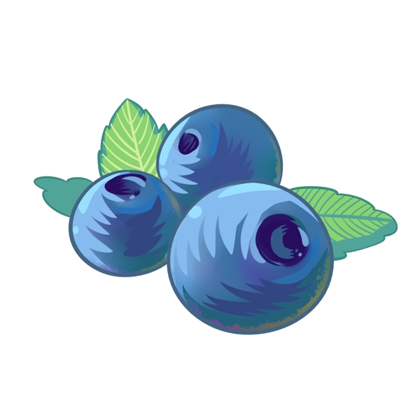 绿叶装饰蓝莓