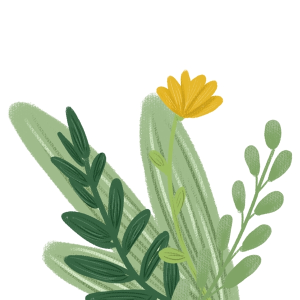 水彩彩绘黄色花朵植物免抠图