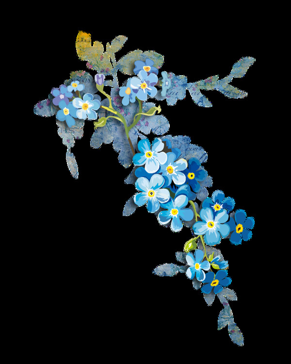 水墨植物花卉透明素材