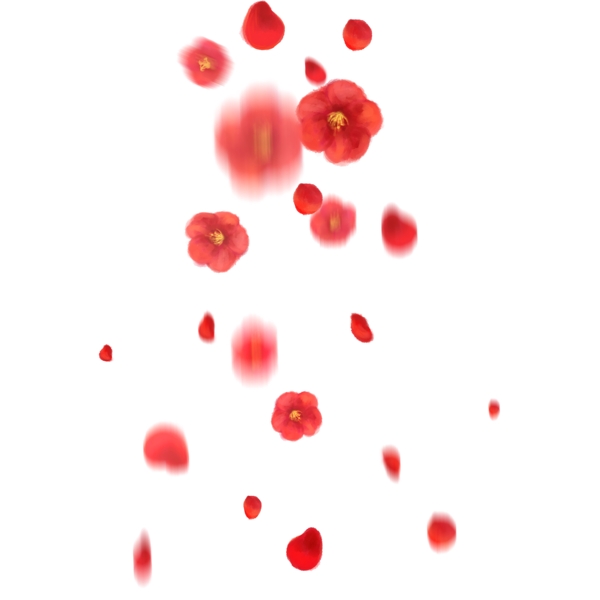 飘落的花瓣漂浮的梅花花瓣飘落的红梅花瓣