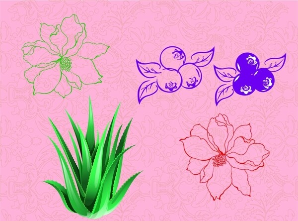 芦荟蓝莓花底纹图片