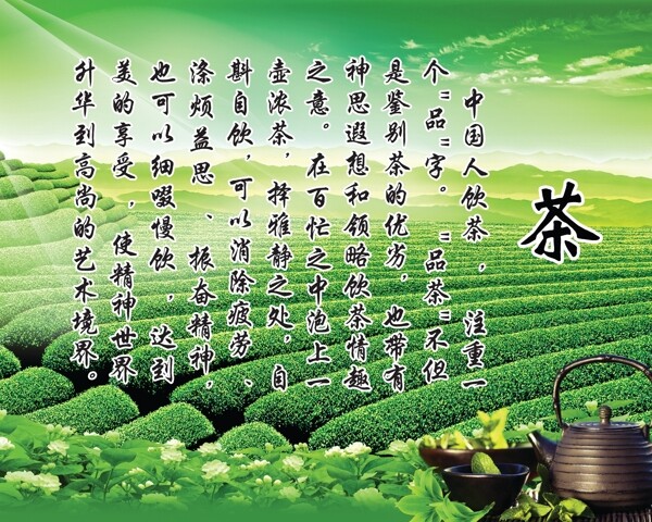 茶文化展板设计