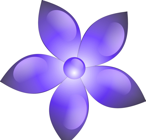 紫水晶花图片