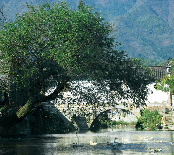 小桥流水