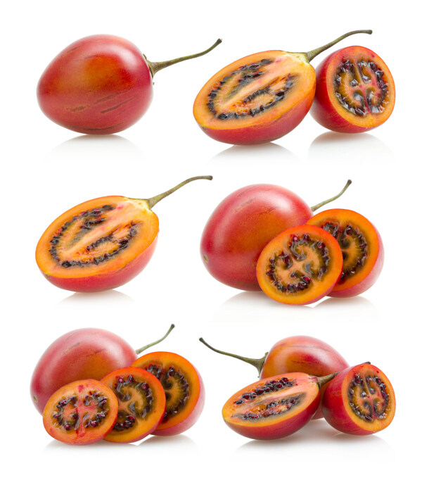 树蕃茄图片