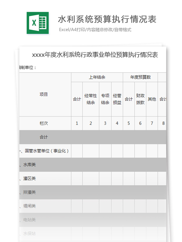 年度水利系统行政事业单位预算执行情况表excel模板