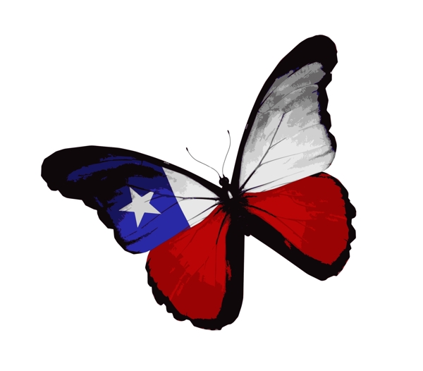 美国国旗蝴蝶图案