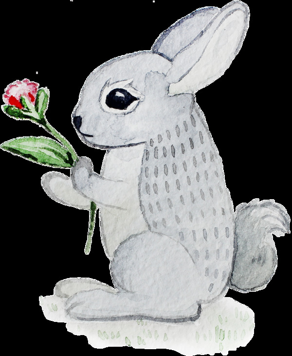 灰色兔子卡通透明素材