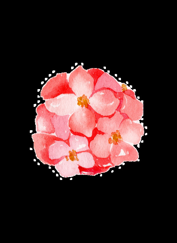 粉红色绣球花水彩手绘透明素材