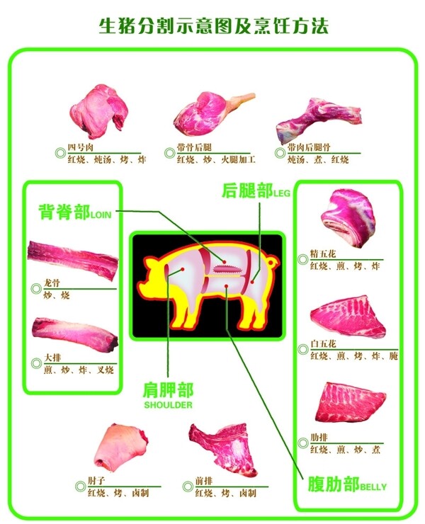生猪分割示意图及烹饪方法图片