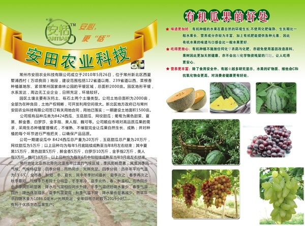 水果蔬菜类农业科技单页图片