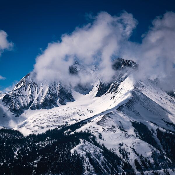 雪地