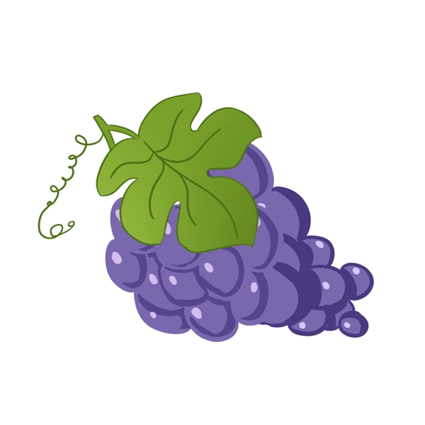 紫色成熟长串葡萄