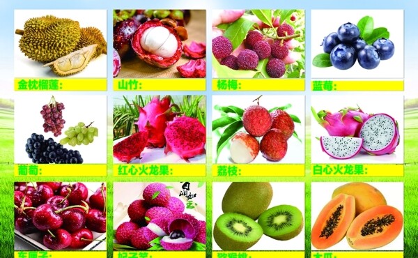 水果海报水果喷绘水果