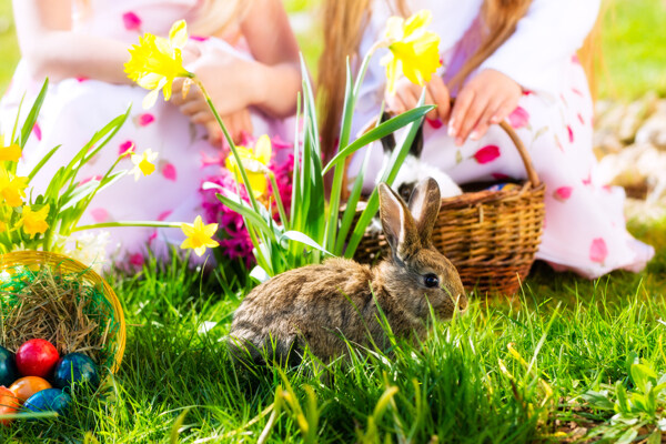 草丛里的兔子与彩蛋图片