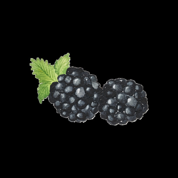 黑色手绘莓卡通透明水果素材