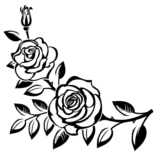 黑白时尚玫瑰花植物