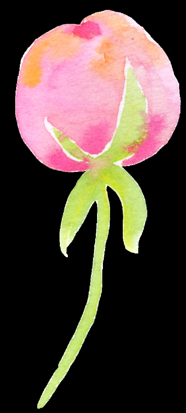 一束花卉卡通透明素材