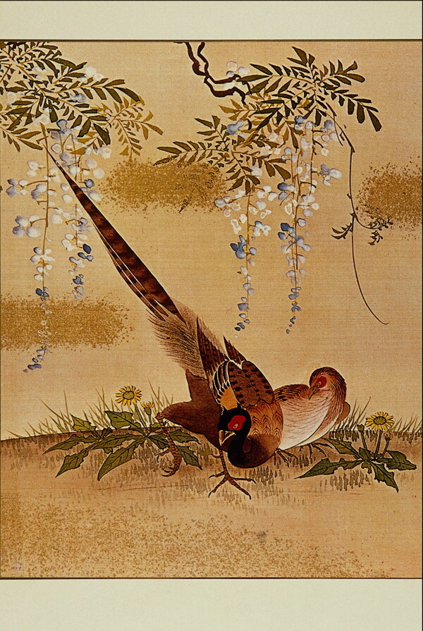 花鸟画中国古画0022