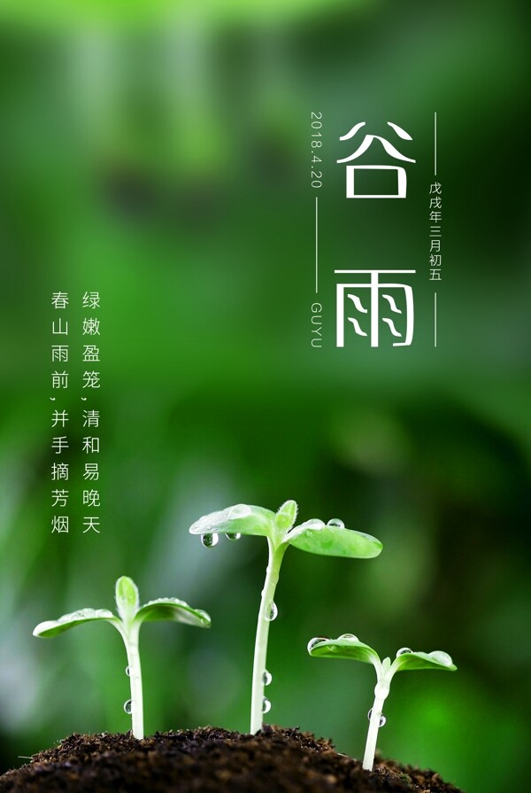清新绿色春季谷雨海报