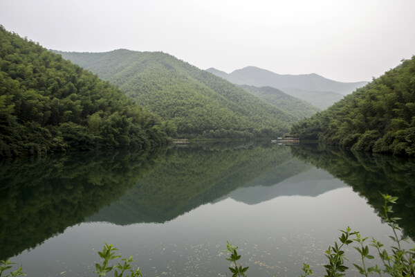 南山竹海风景图片