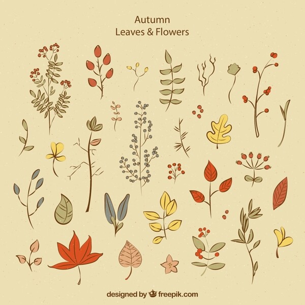 彩绘秋季叶子图片