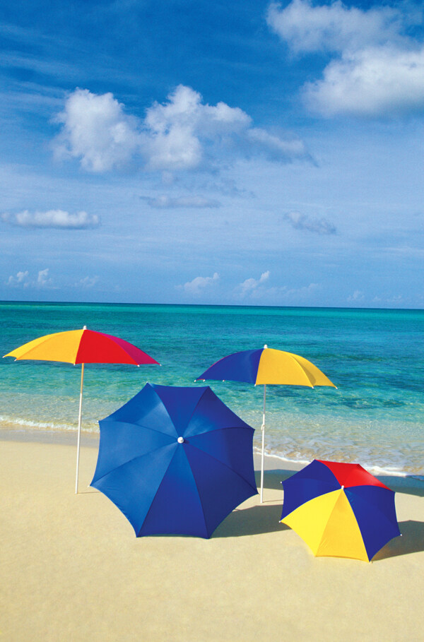 海岸上的雨伞图片
