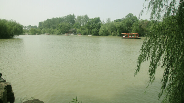 瘦西湖风景图片