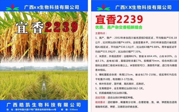 农业水稻种子宣传单