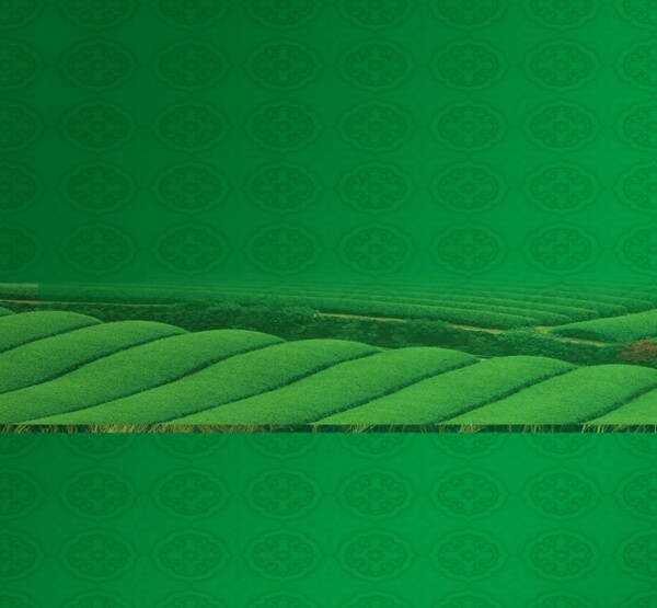 海报素材底纹设计绿色图片茶林